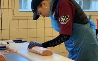 /media/qhdiusxq/tilde-udskaering.jpeg?rxy=0.4707791640049575,0.23203588319954221&width=340&height=210&v=1dbba7eafd43fd0