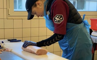 /media/qhdiusxq/tilde-udskaering.jpeg?rxy=0.6603552983371062,0.3813835833464356&width=340&height=210&v=1dbddcae01a8bd0